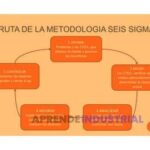 CTQs y costos de calidad: Ejemplos prácticos y soluciones