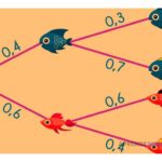 Diagrama del árbol de probabilidades: Ejercicios prácticos y más