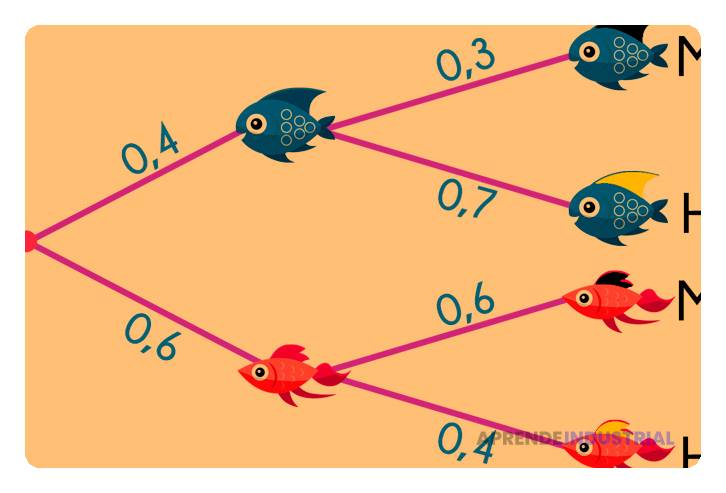 diagrama-del-arbol-de-probabilidades-ejercicios-practicos-y-mas