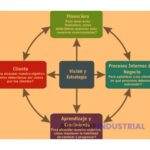 Administración de Empresas e Ingeniería Industrial: Diferencias Clave