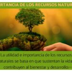 Cinco recursos naturales y su importancia en la vida diaria