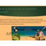 Funciones y responsabilidades del ingeniero en seguridad ambiental