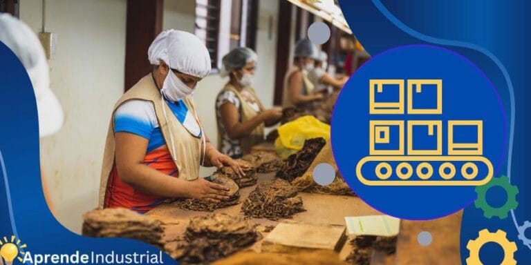Capacidad de Producción