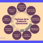 10 Principios de la Excelencia Operacional