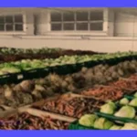 Almacenamiento óptimo de frutas y verduras: Coto