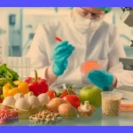 Biotecnología Alimentaria: Guía de Aplicaciones e Innovación