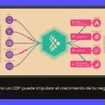 CDP ¿qué es? Guía completa para principiantes