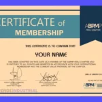 Certificación ABPMP: Guía Completa