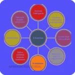 Cómo funciona el e-commerce: Conceptos clave