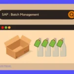Cómo Implementar SAP EWM: Guía Completa