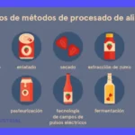 ¿Cómo se procesan los alimentos? Ejemplos y definición