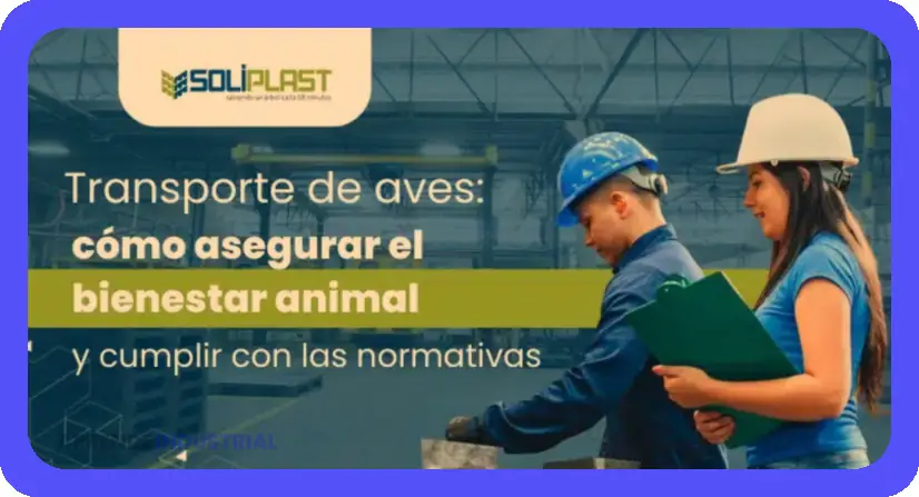 Estiba Y Desestiba Gu a De Estiba De Cargas Estiba Y Desestiba Gu a De Estiba De Cargas