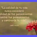 Frases de Calidad: Top Frases sobre Calidad y Calidad Frases