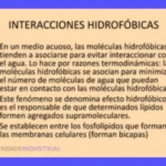 Guía: Interacciones Hidrofóbicas, Sustancias & Aplicaciones