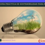 Guía: Sustentabilidad en Empresas ¿Qué es y cómo serlo?