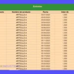 Modelos de inventario: Guía completa para optimizar tu stock