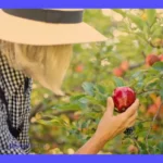 Orden de Picking: Guía paso a paso y ejemplo