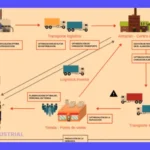 Proceso de Logística: Guía Desarrollo Logístico Optimizado