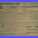 Qué es la Documentación de Transporte: Guía Completa