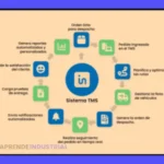 ¿Qué es TMS? Guía completa sobre TMS que significa