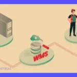 Qué es un WMS: Guía completa del software