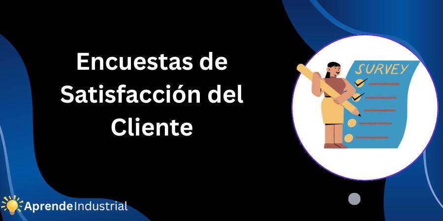 Encuestas de Satisfacción del Cliente